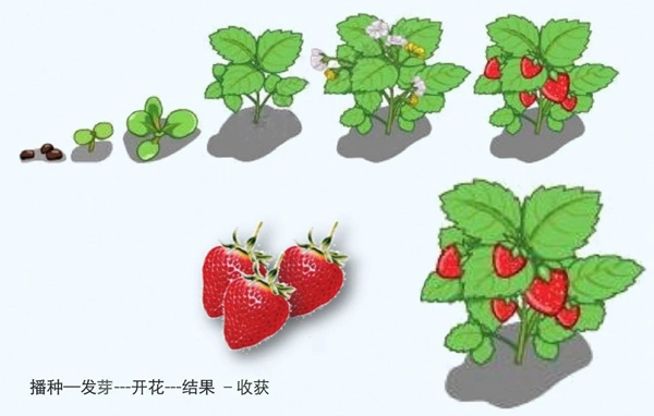 【防疫科普】如何利用園藝療法保持復(fù)工后身心健康？