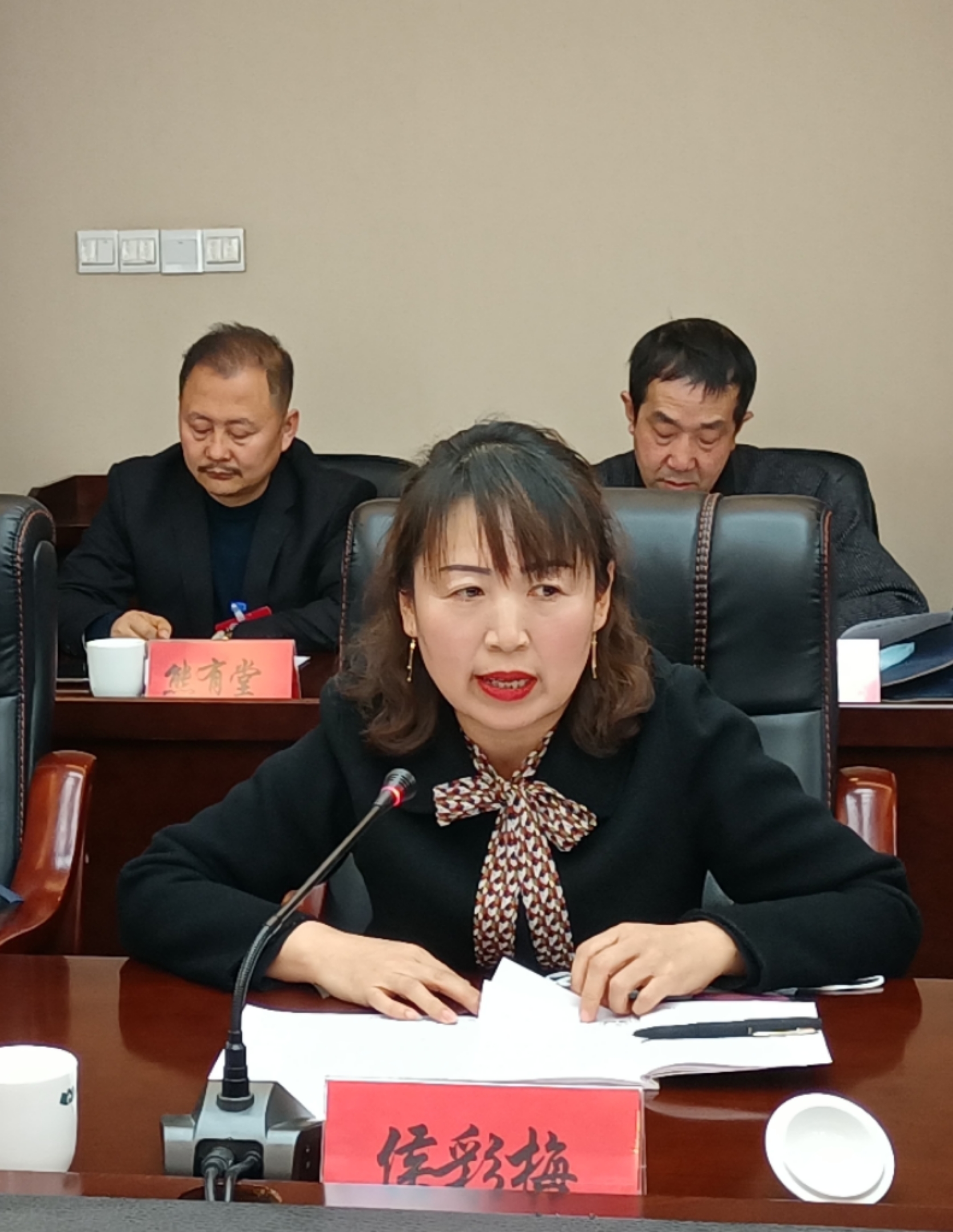 侯彩梅委員在討論發(fā)言時(shí)就規(guī)范農(nóng)村中小學(xué)體育教學(xué)提出了建議。