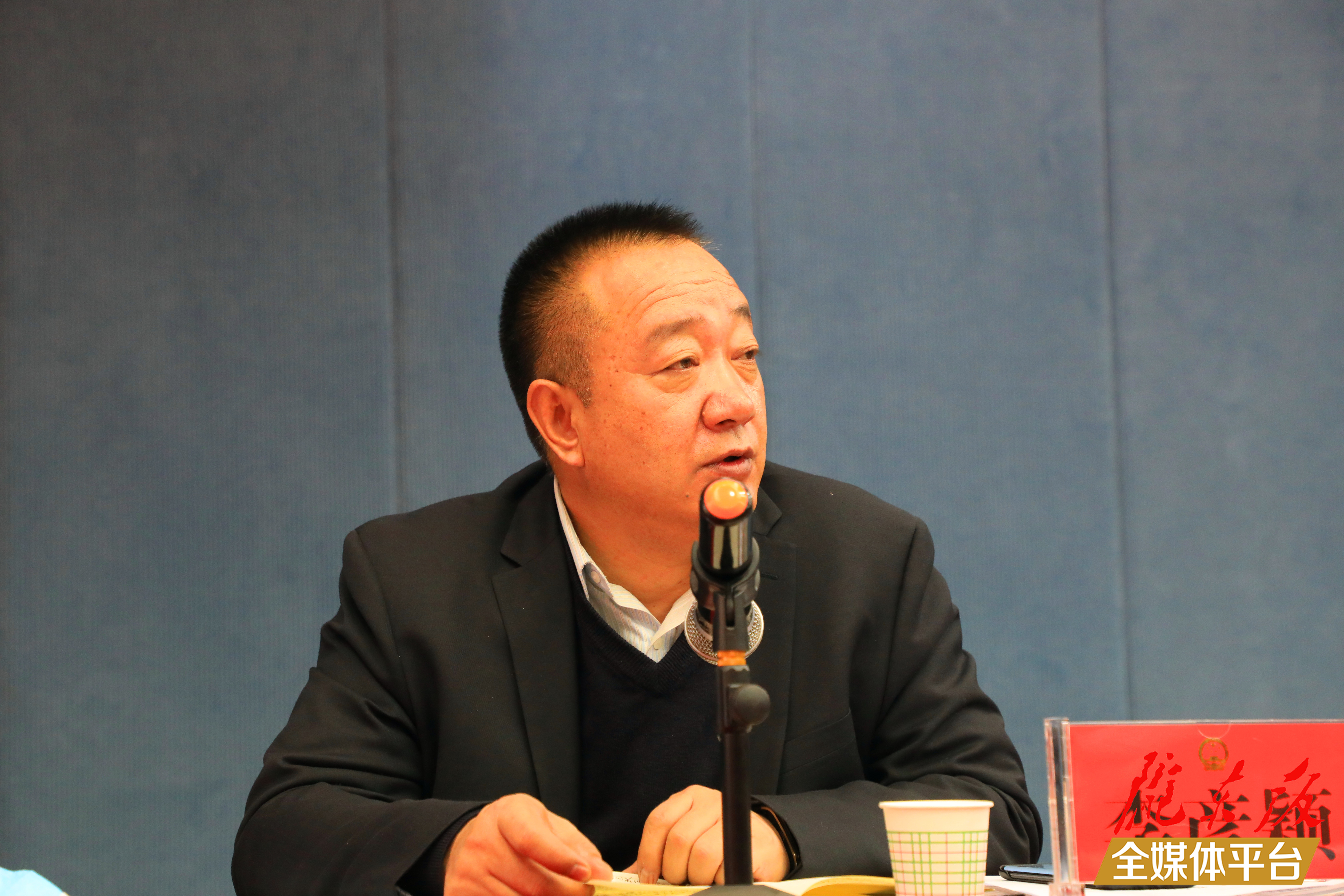 人大代表李彥穎參加分組審議時發(fā)言。