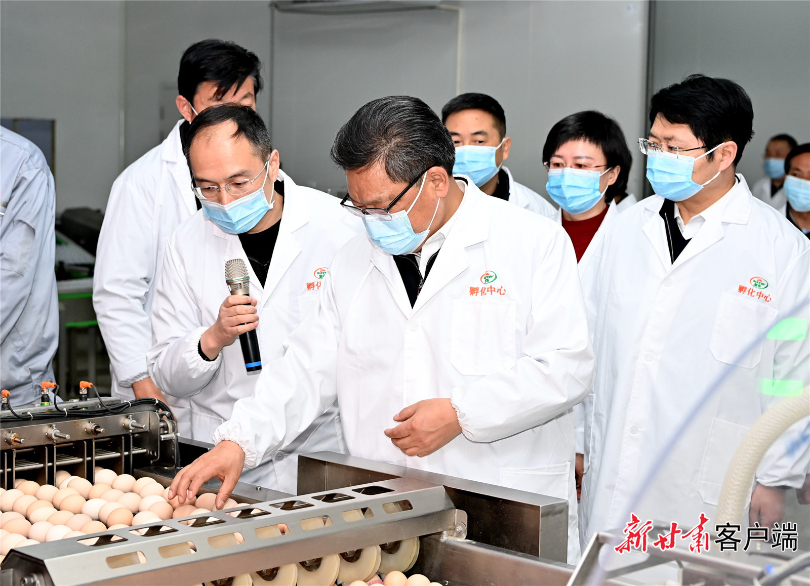 任振鶴在慶陽調(diào)研時強調(diào)：用新思想指引新征程，以新發(fā)展書寫新答卷，真抓實干推動新時代革命老區(qū)振興發(fā)展