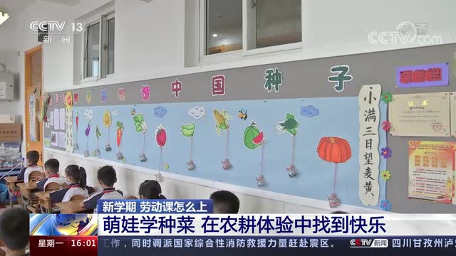 新學(xué)期，勞動課怎么上？央視《新聞直播間》關(guān)注北師大慶陽附校農(nóng)耕體驗課