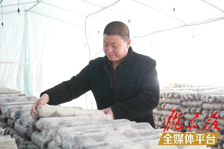 西峰區(qū)后官寨鎮(zhèn)司官寨村食用菌基地，工作人員在整理菌棒。本報(bào)記者 南力 攝