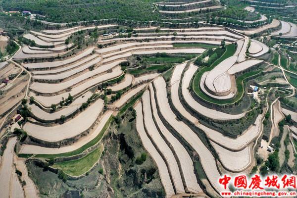 慶城縣持續(xù)推進高標準農田建設 夯實糧食安全根基