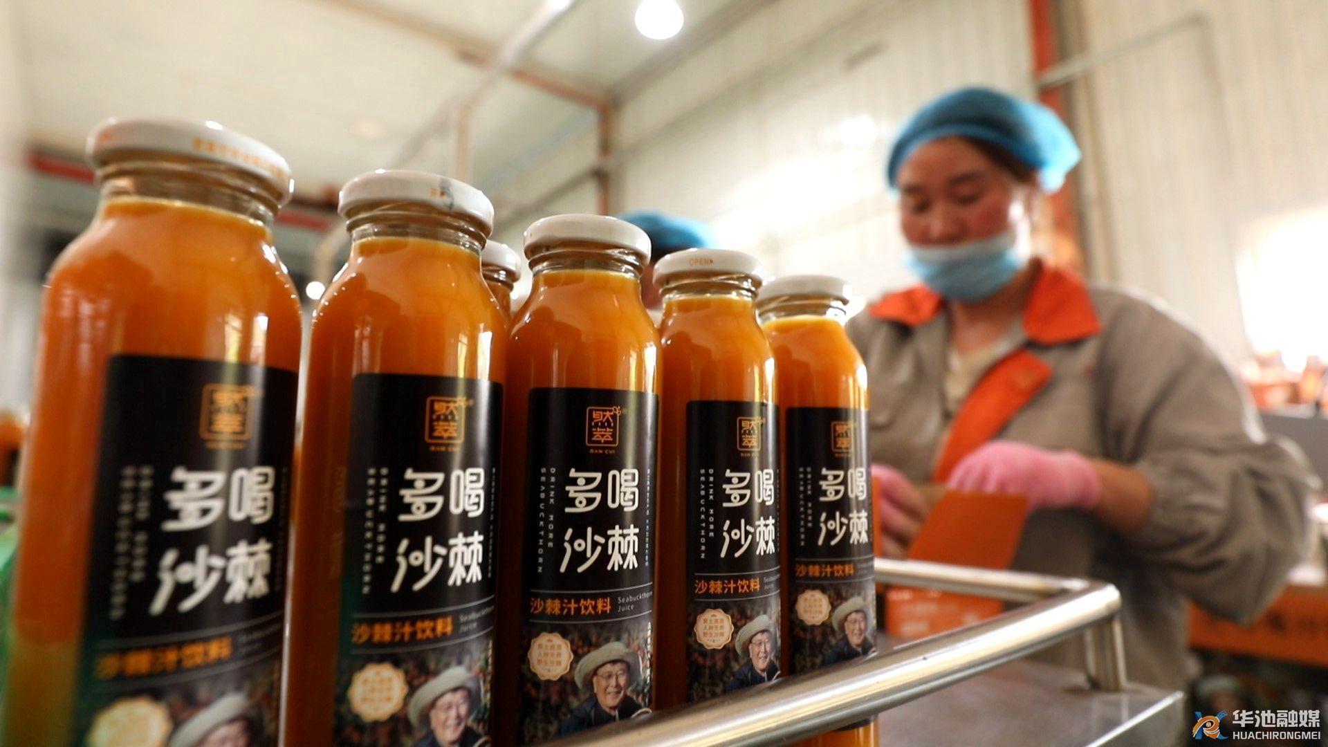 華池:?隴上高原植新綠 東西協(xié)作結(jié)碩果