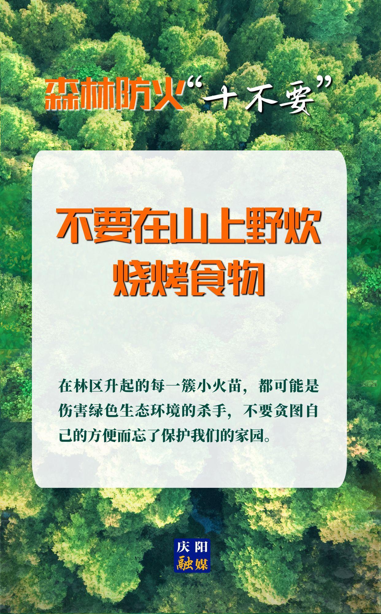 【微海報(bào)】森林防火“十不要”③丨不要在山上野炊、燒烤食物