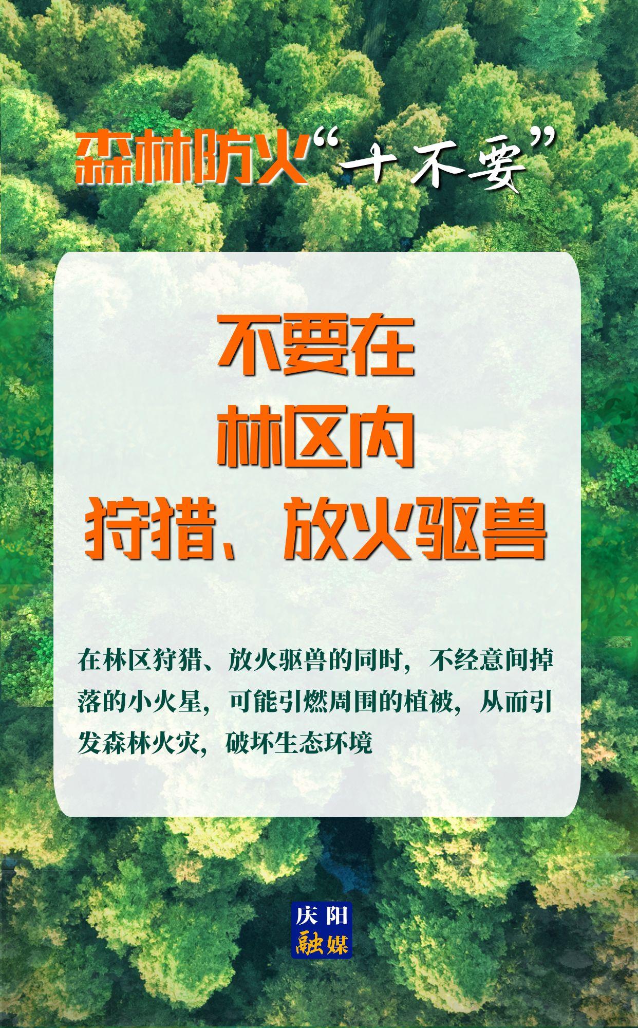 【微海報】森林防火“十不要”⑨丨不要在林區(qū)內(nèi)狩獵、放火驅(qū)獸