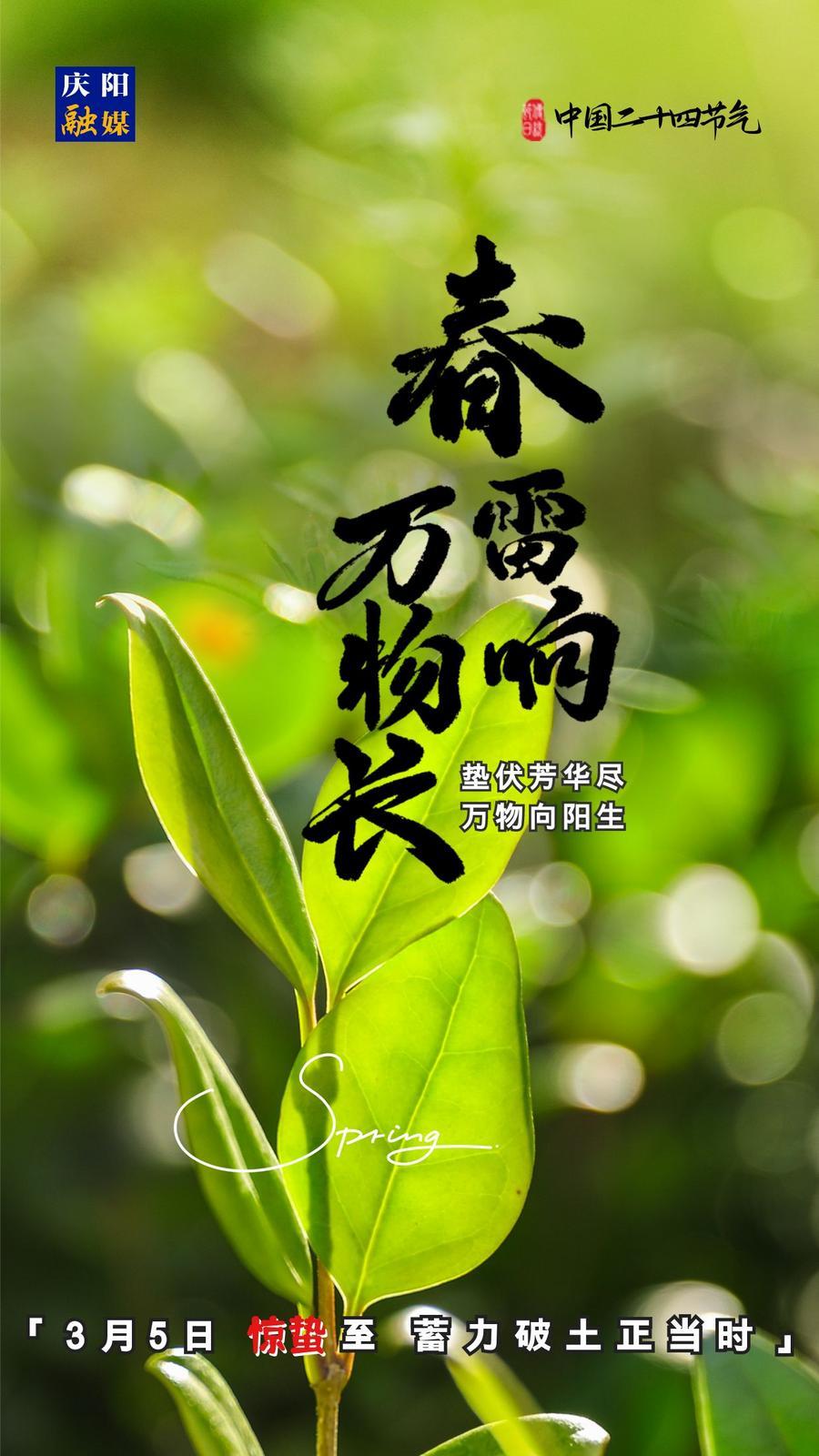 【微海報(bào)】二十四節(jié)氣丨驚蟄至，蓄力破土正當(dāng)時(shí)