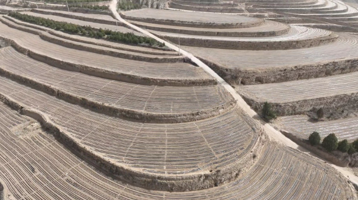 鎮(zhèn)原縣殷家城鄉(xiāng)：頂凌覆膜正當(dāng)時 春耕備耕搶先機