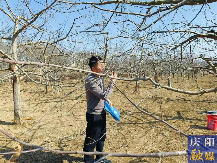?慶陽市抓實抓細  多舉措推進春管工作