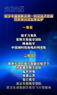 【V視】2025數(shù)字中國創(chuàng)新大賽·低空經(jīng)濟(jì)賽道方案賽獲獎(jiǎng)名單公布