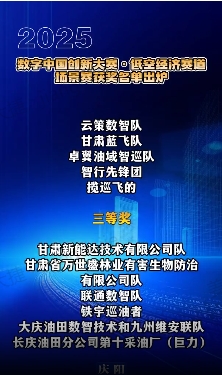【V視】2025數(shù)字中國創(chuàng)新大賽·低空經(jīng)濟(jì)賽道場景賽獲獎(jiǎng)名單出爐