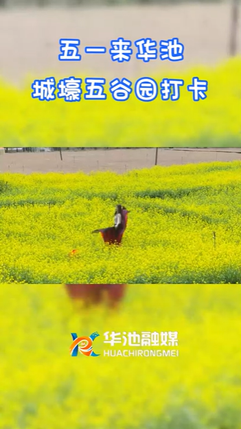 【五一游慶陽】歡迎來華池城壕五谷園打卡?。? />                                            
                                            </div>                                           
                                            </a>                                            
                                        </li>
                                         <li>                                          
                                            <a href=