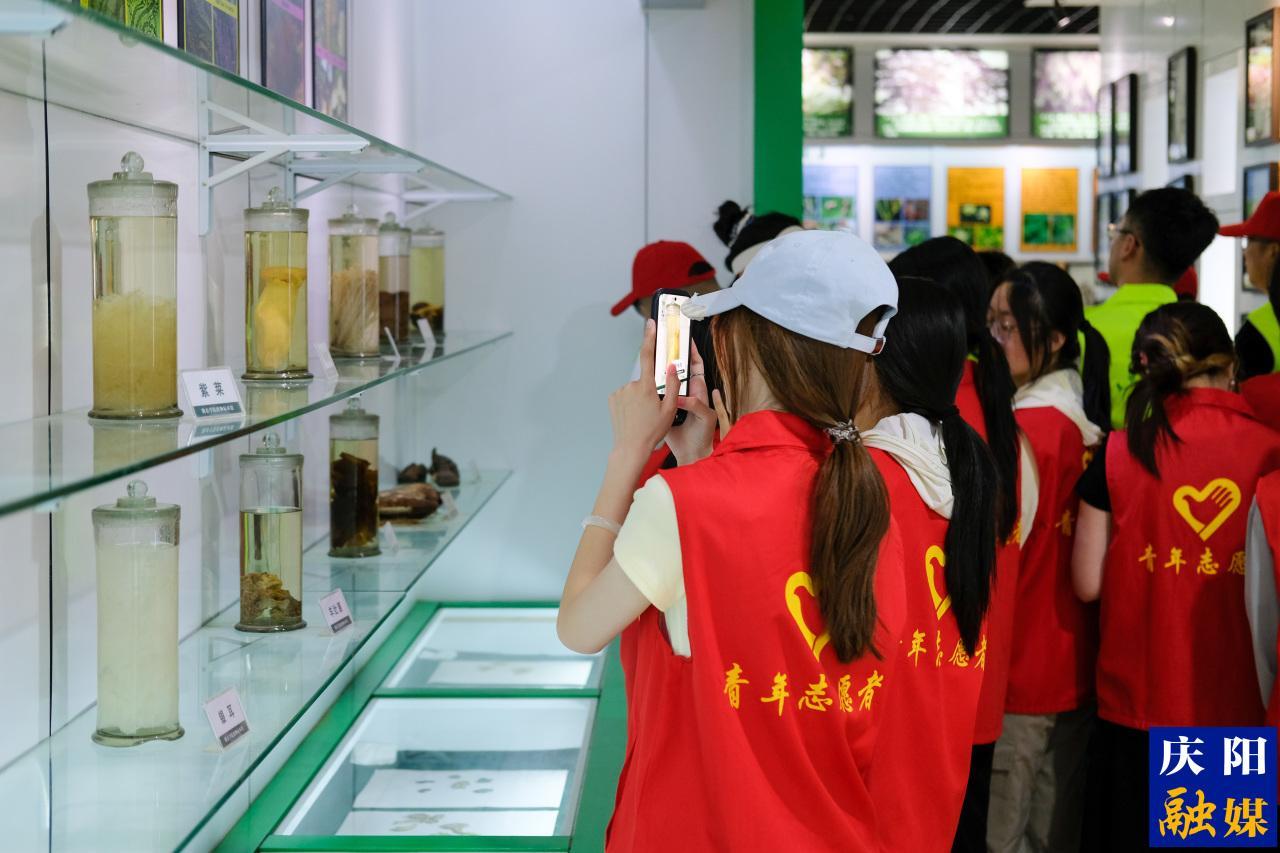 萬物共生 和美永續(xù)丨慶陽市舉辦國際生物多樣性日主題活動(dòng)