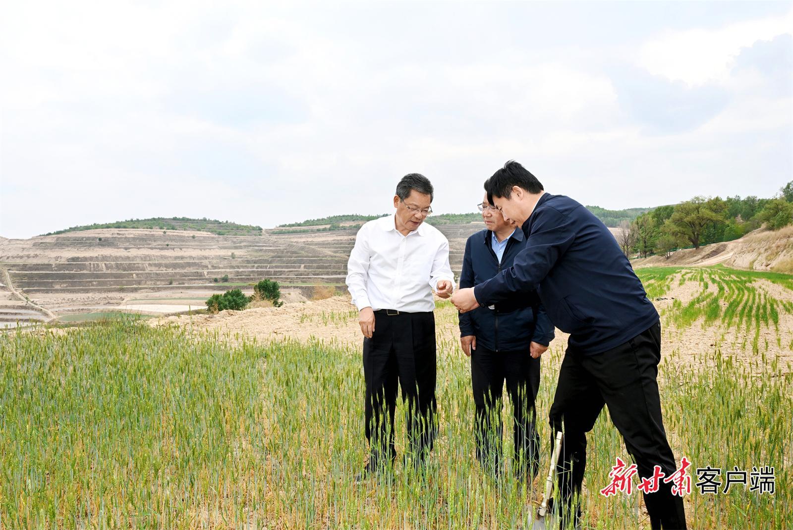 任振鶴在會(huì)寧縣靜寧縣調(diào)研抗旱減災(zāi)和群眾身邊不正之風(fēng)和腐敗問(wèn)題集中整治工作時(shí)強(qiáng)調(diào) 打好抗旱減災(zāi)主動(dòng)仗 用心辦好實(shí)事惠民生 不斷加固高質(zhì)量發(fā)展的底板