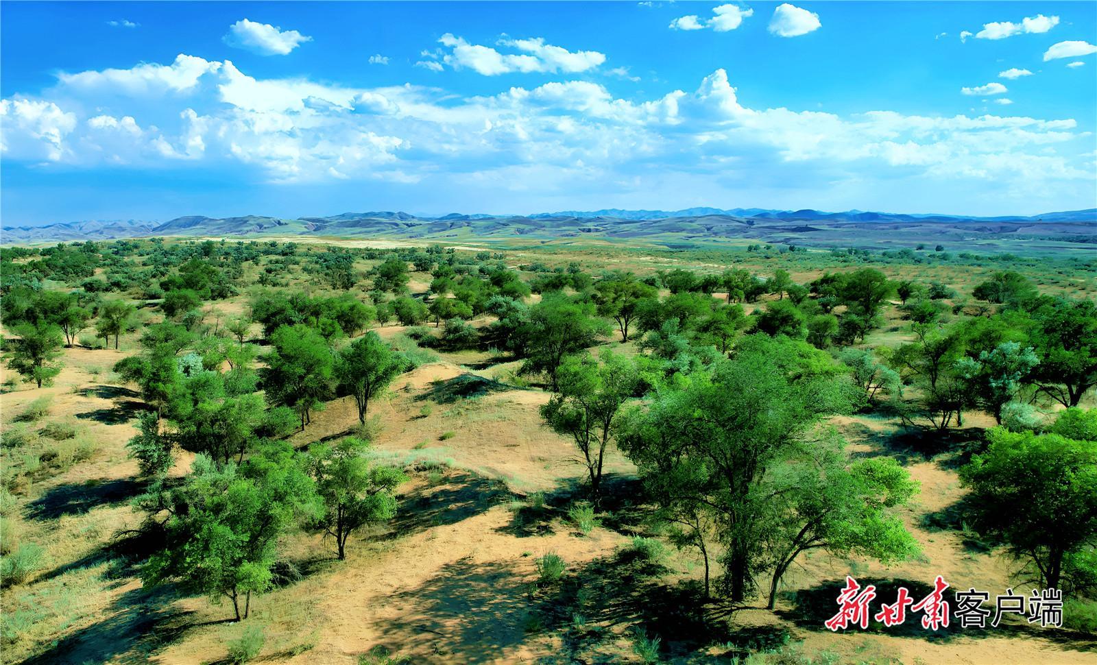 【建設(shè)美麗甘肅 推進(jìn)“三北”工程 構(gòu)筑“綠色長(zhǎng)城”】古浪：譜寫綠色篇章 繪就生態(tài)畫卷