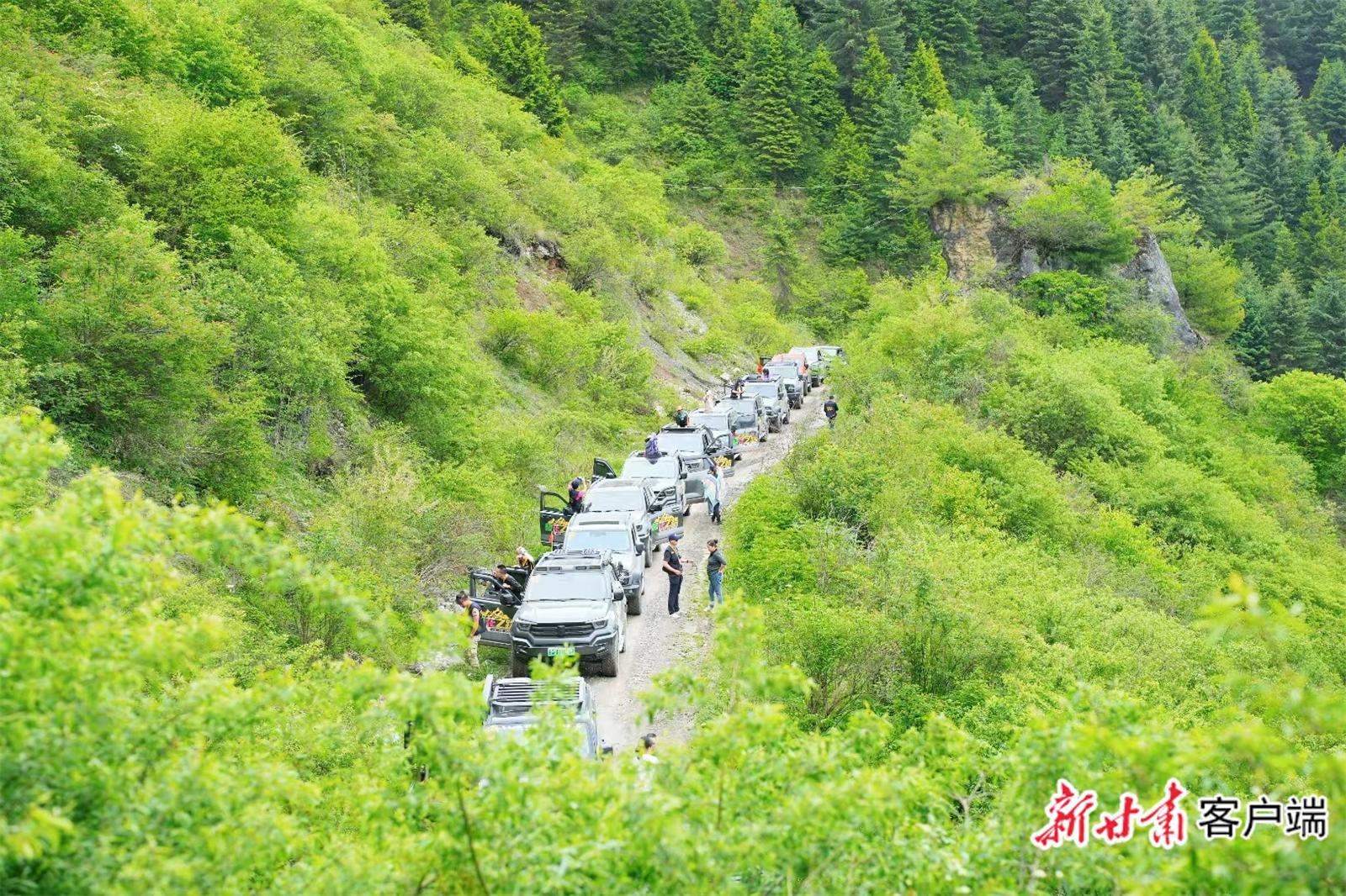 舟曲：142公里“簪花之路”串聯(lián)全域旅游新路徑